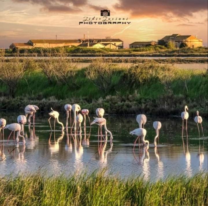 B & B Cantarano Порто-Гарибальди Экстерьер фото